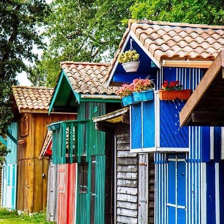 Au Coeur Du Bassin D'Arcachon,Tres Bel Appartement Avec Terrasse Audenge Luaran gambar