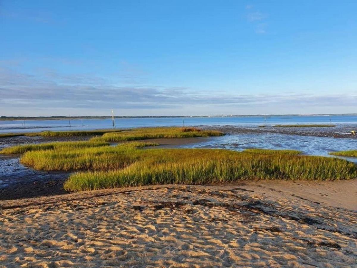 Au Coeur Du Bassin D'Arcachon,Tres Bel Appartement Avec Terrasse Audenge Luaran gambar